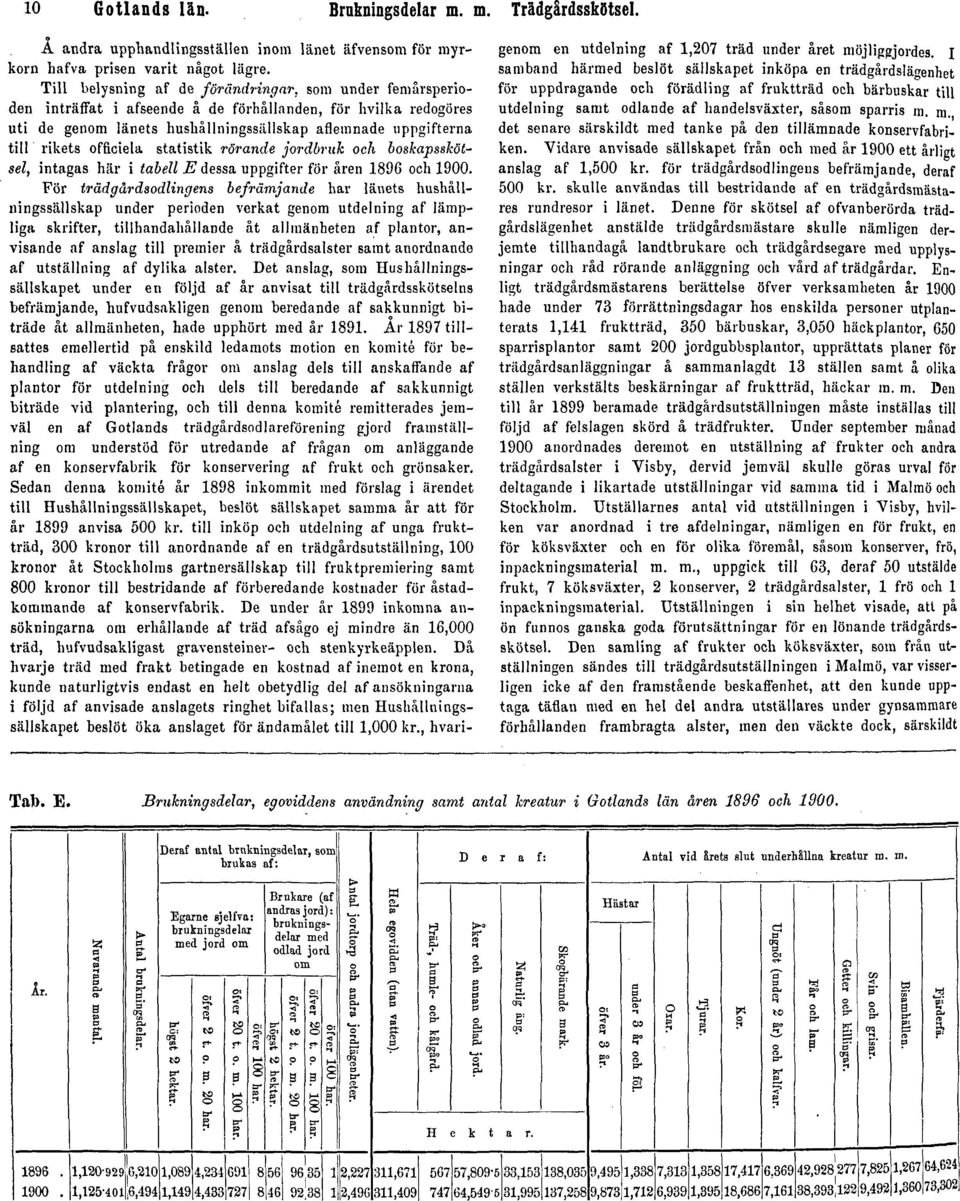 officiela statistik rörande jordbruk och boskapsskötsel, intagas här i tabell E dessa uppgifter för åren 1896 och 1900.