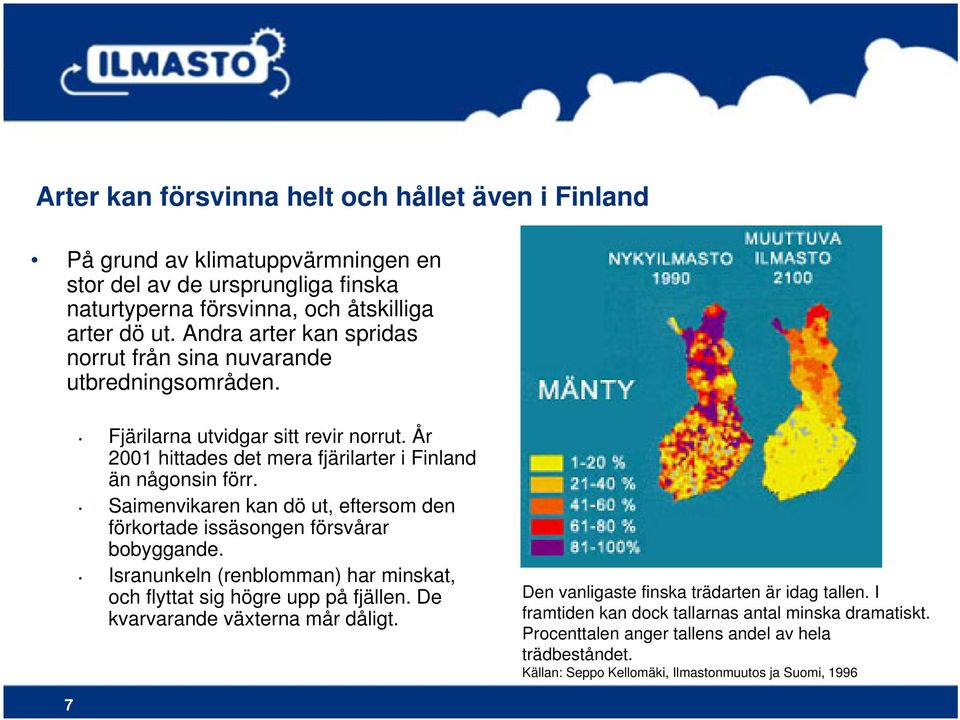 Saimenvikaren kan dö ut, eftersom den förkortade issäsongen försvårar bobyggande. Isranunkeln (renblomman) har minskat, och flyttat sig högre upp på fjällen.