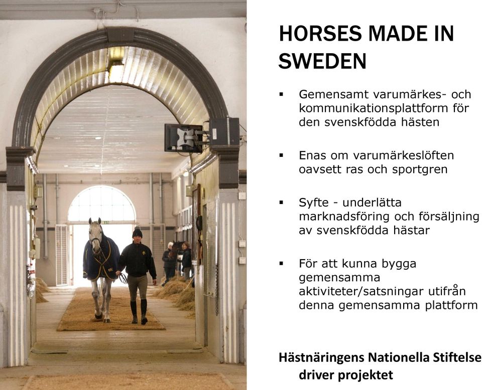 marknadsföring och försäljning av svenskfödda hästar För att kunna bygga gemensamma