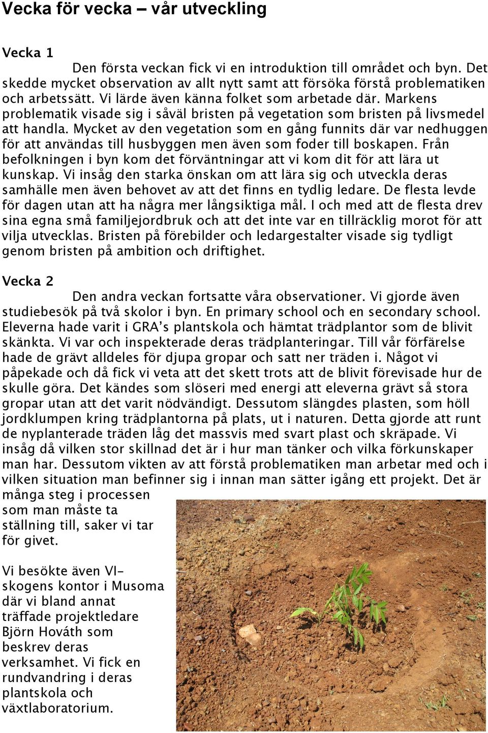 Mycket av den vegetation som en gång funnits där var nedhuggen för att användas till husbyggen men även som foder till boskapen.