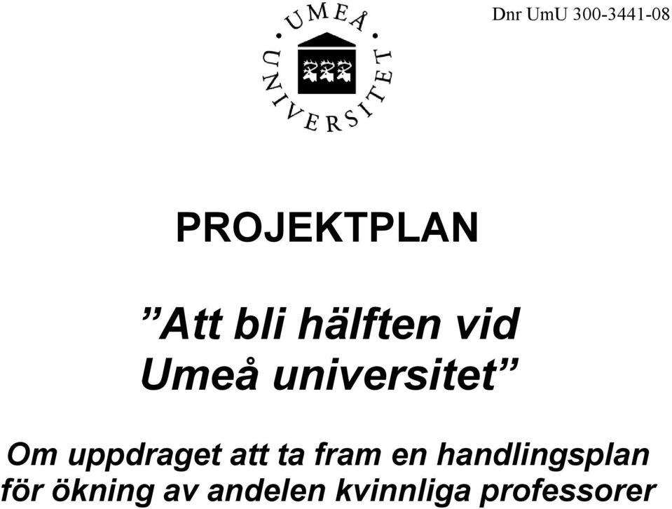 uppdraget att ta fram en handlingsplan