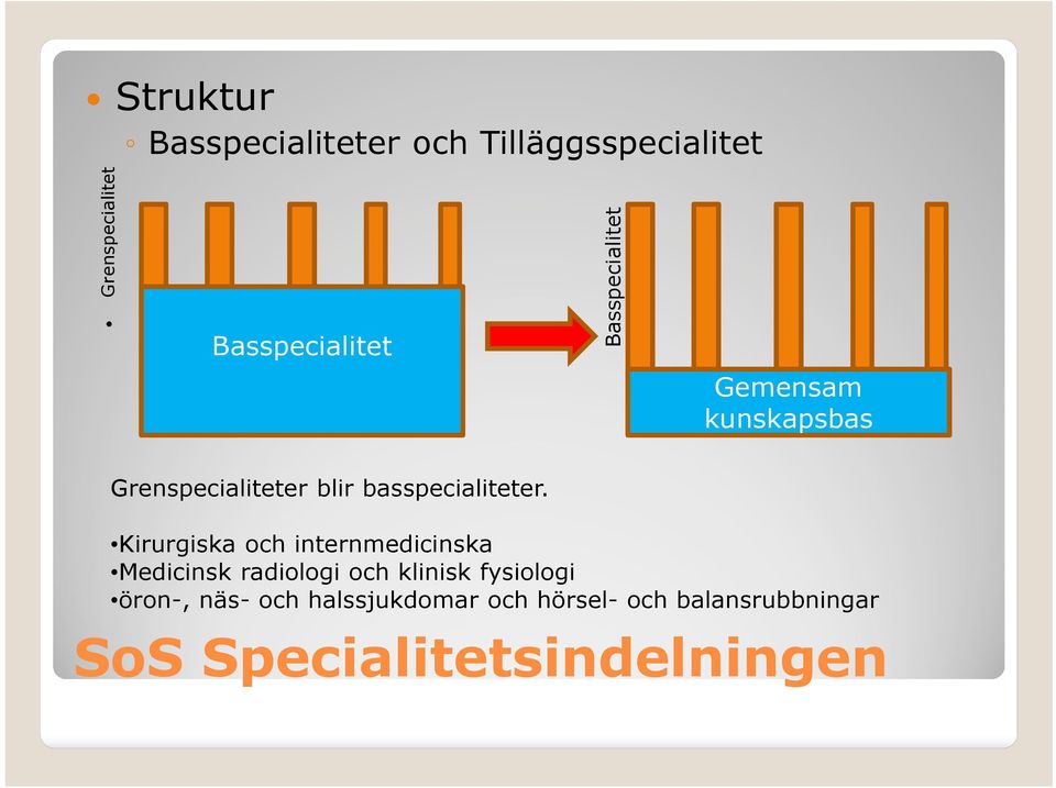 Kirurgiska och internmedicinska Medicinsk radiologi och klinisk fysiologi öron-,