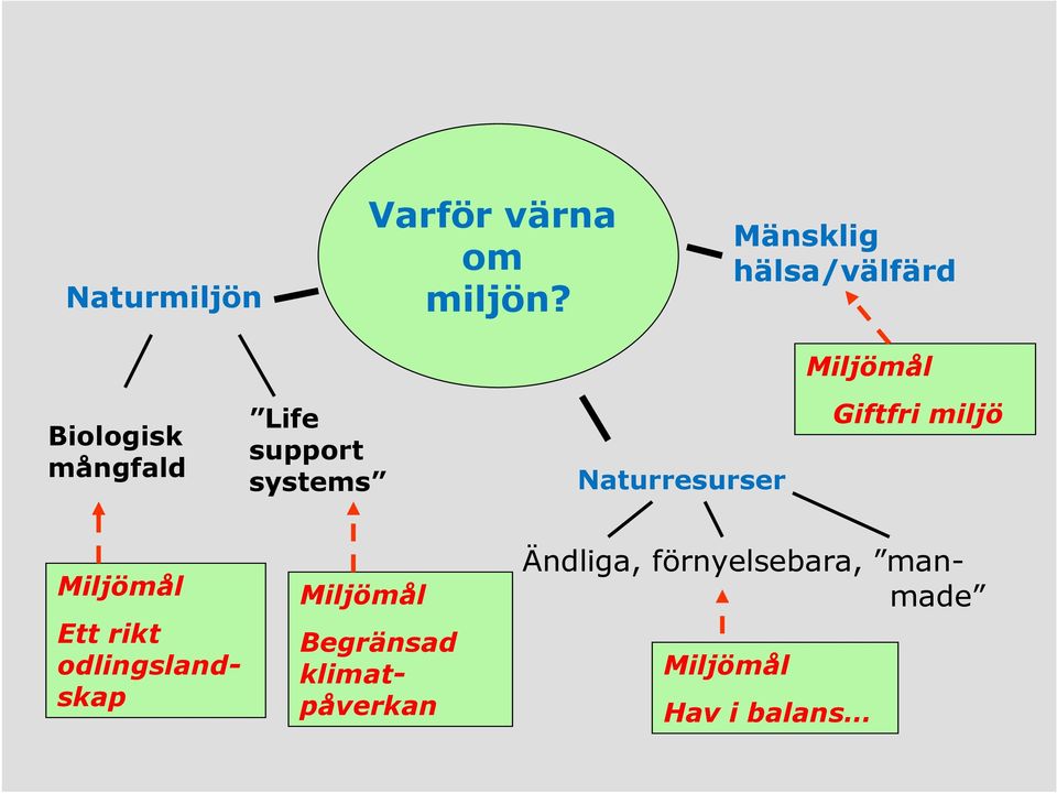 systems Naturresurser Giftfri miljö Miljömål Ett rikt