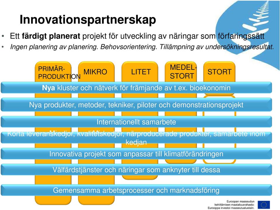 bioekonomin Nya produkter, metoder, tekniker, piloter och demonstrationsprojekt Internationellt samarbete MEDEL- STORT STORT Korta leveranskedjor, Mi