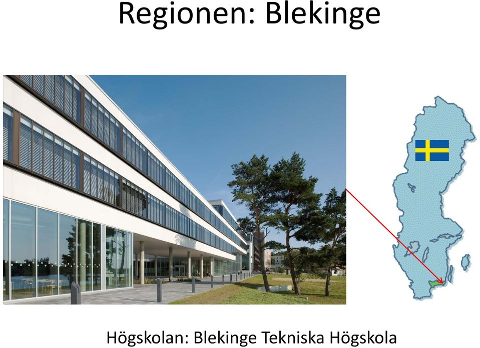 Högskolan: 