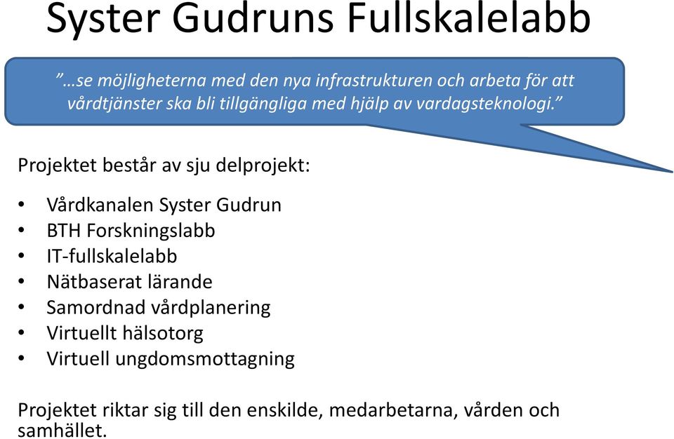 Projektet består av sju delprojekt: Vårdkanalen Syster Gudrun BTH Forskningslabb IT fullskalelabb