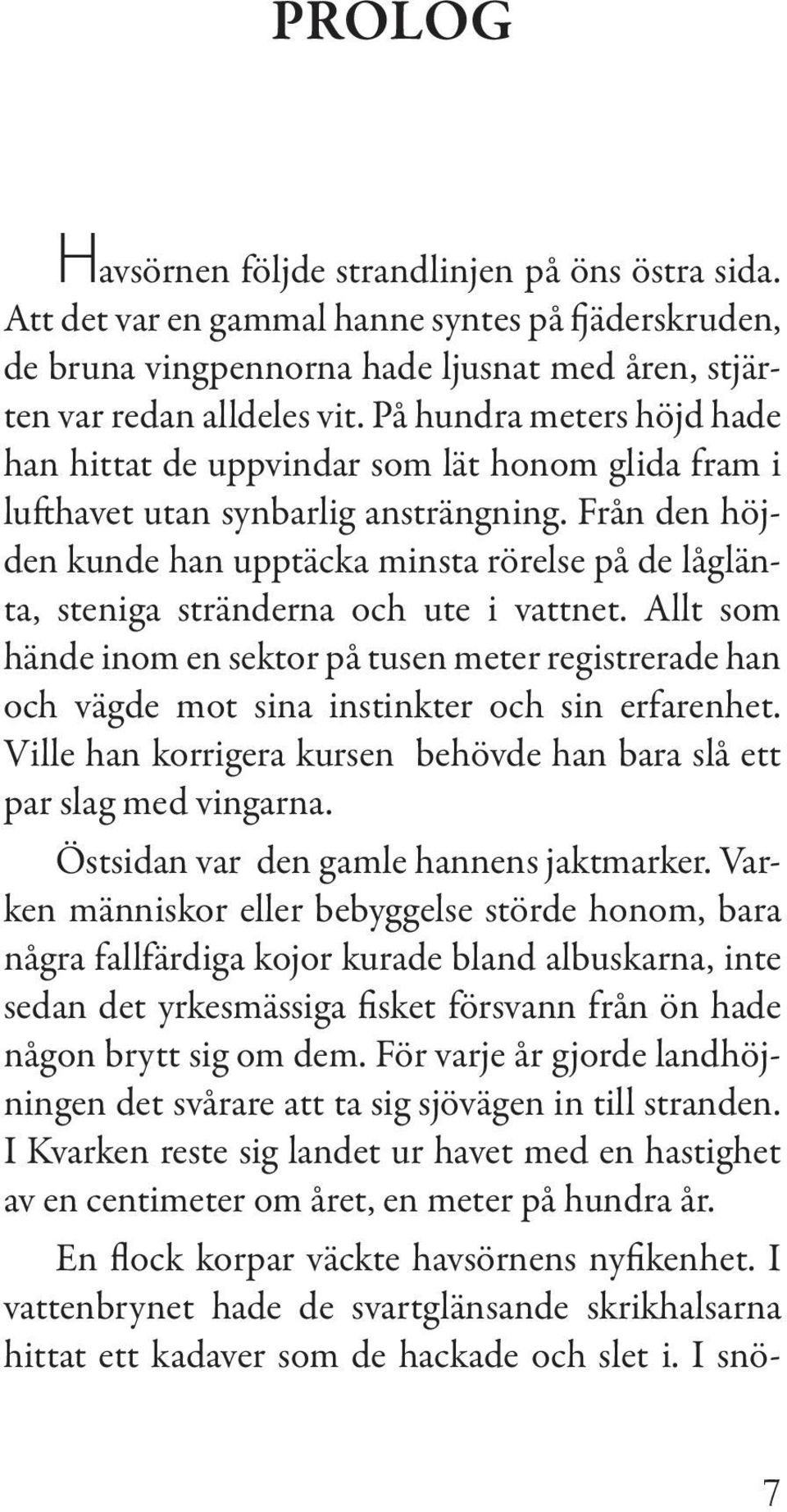 Från den höjden kunde han upptäcka minsta rörelse på de låglänta, steniga stränderna och ute i vattnet.