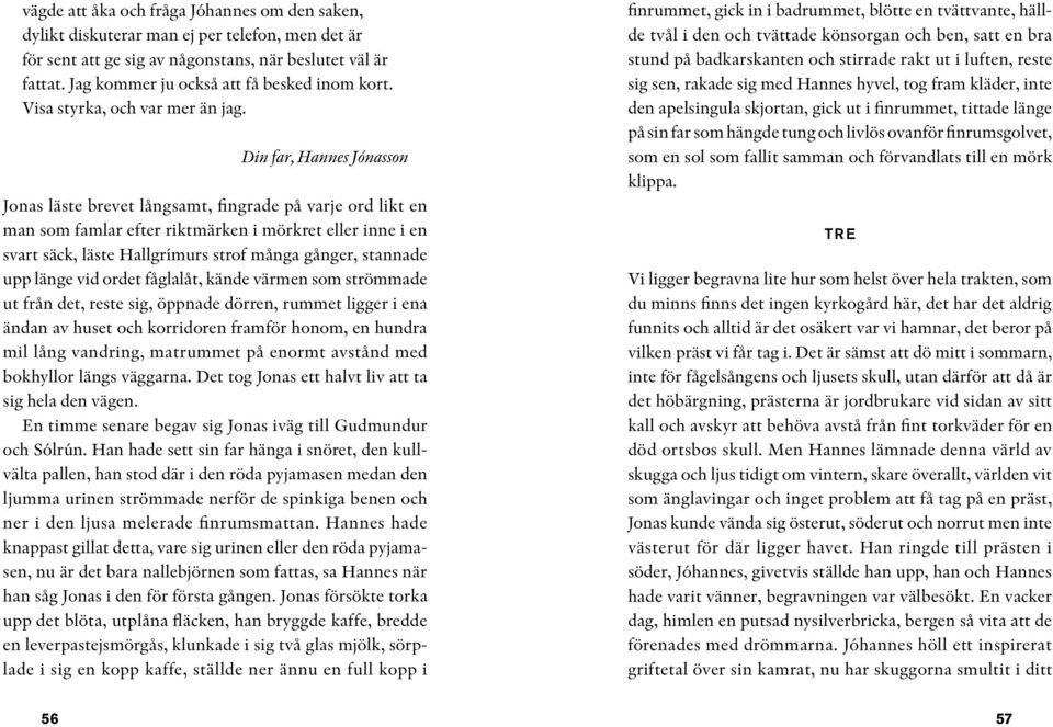 Din far, Hannes Jónasson Jonas läste brevet långsamt, fingrade på varje ord likt en man som famlar efter riktmärken i mörkret eller inne i en svart säck, läste Hallgrímurs strof många gånger,