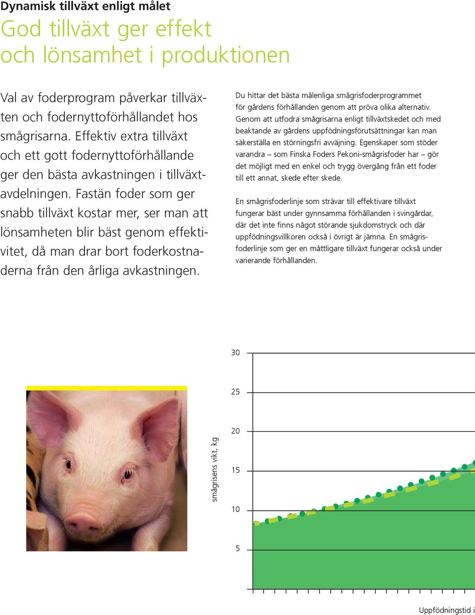 Fastän foder som ger snabb tillväxt kostar mer, ser man att lönsamheten blir bäst genom effektivitet, då man drar bort foderkostnaderna från den årliga avkastningen.