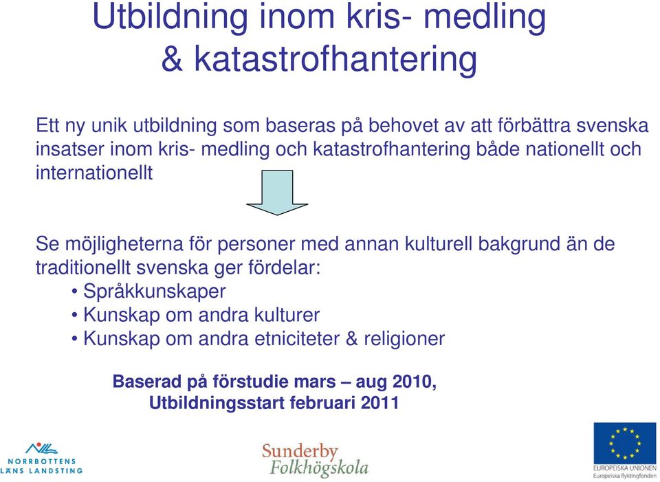 för personer med annan kulturell bakgrund än de traditionellt svenska ger fördelar: Språkkunskaper Kunskap om