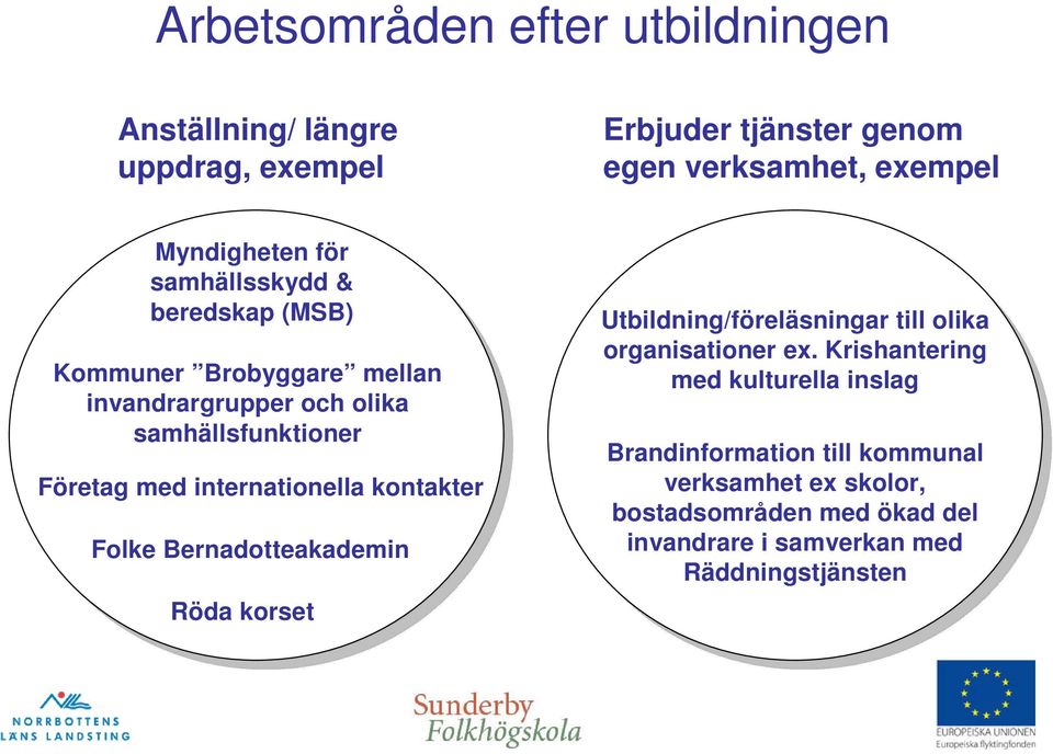 internationella kontakter Folke Bernadotteakademin Röda korset Utbildning/föreläsningar till olika organisationer ex.