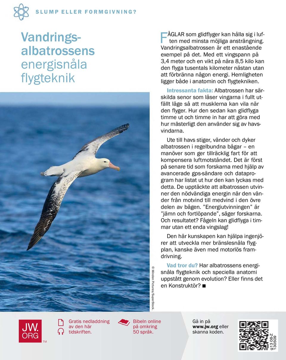 Hemligheten ligger bade i anatomin och flygtekniken. Intressanta fakta: Albatrossen har sar- skilda senor som laser vingarna i fullt ut- fallt lage saattmusklernakanvilan ar den flyger.