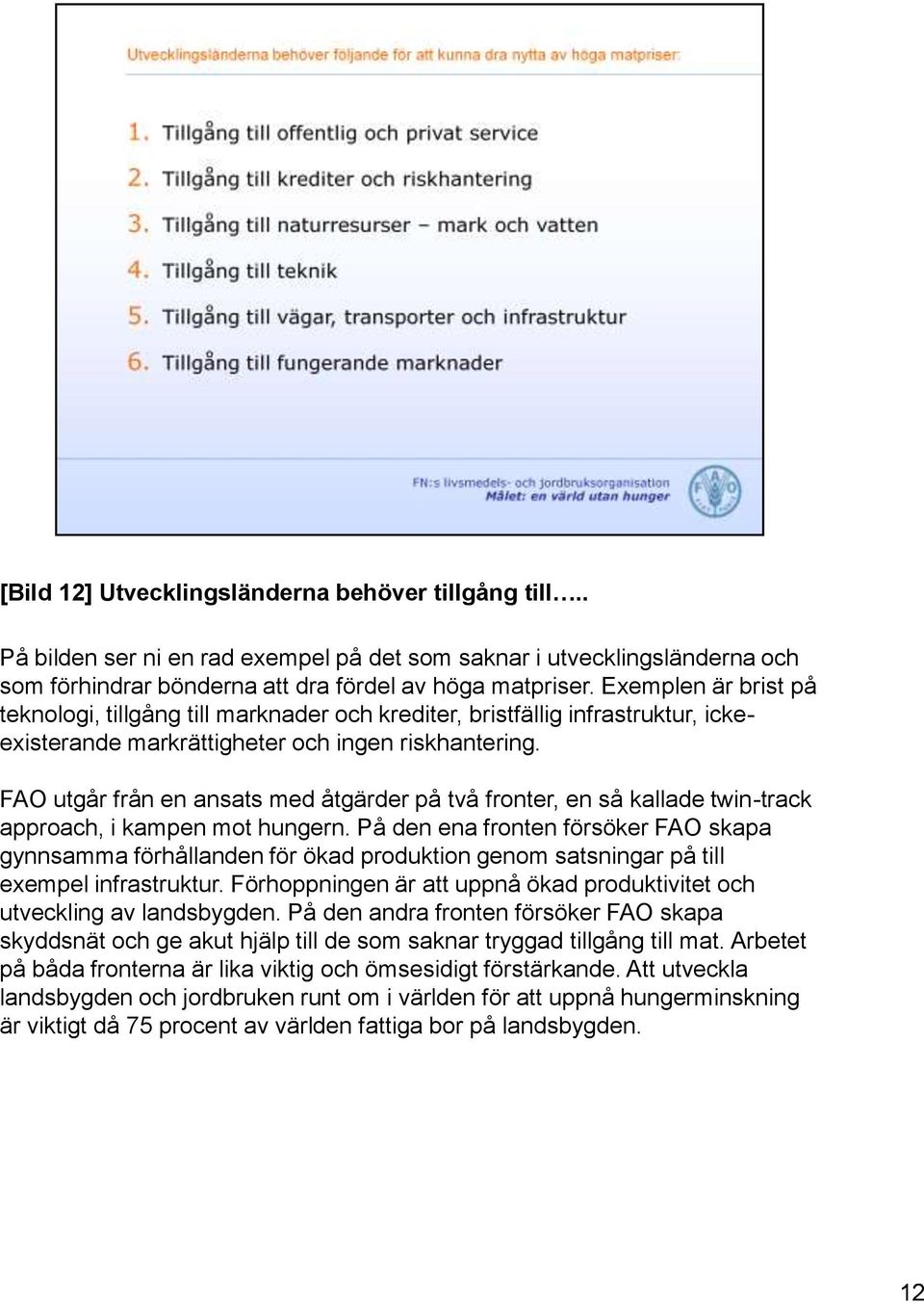 FAO utgår från en ansats med åtgärder på två fronter, en så kallade twin-track approach, i kampen mot hungern.