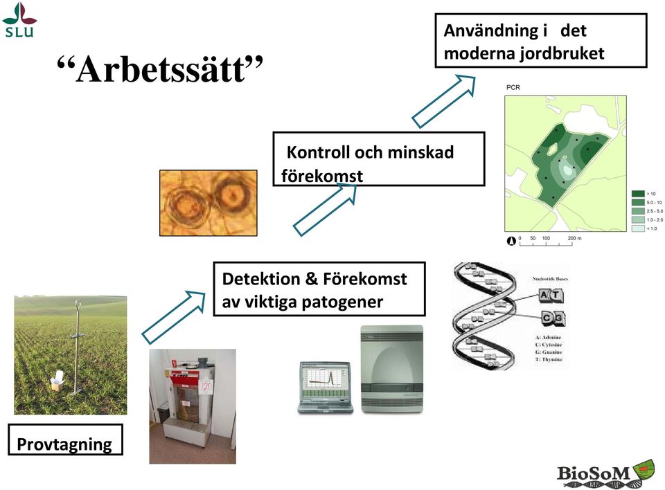 minskad förekomst Detektion &