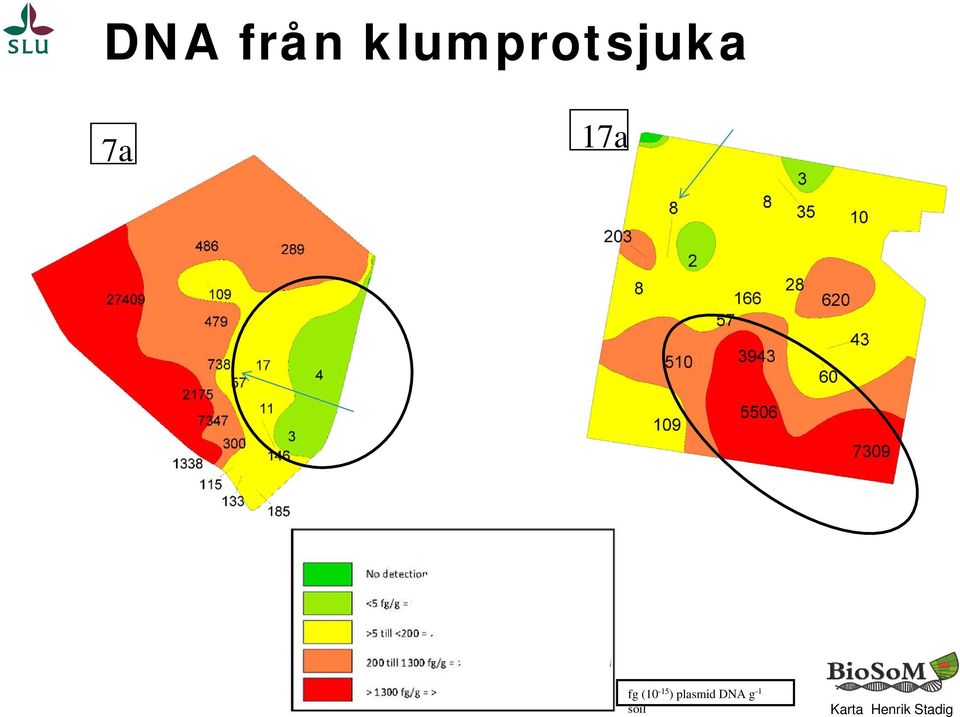 fg (10-15 ) plasmid