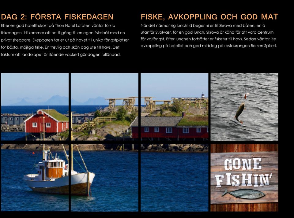 En trevlig och skön dag ute till havs.