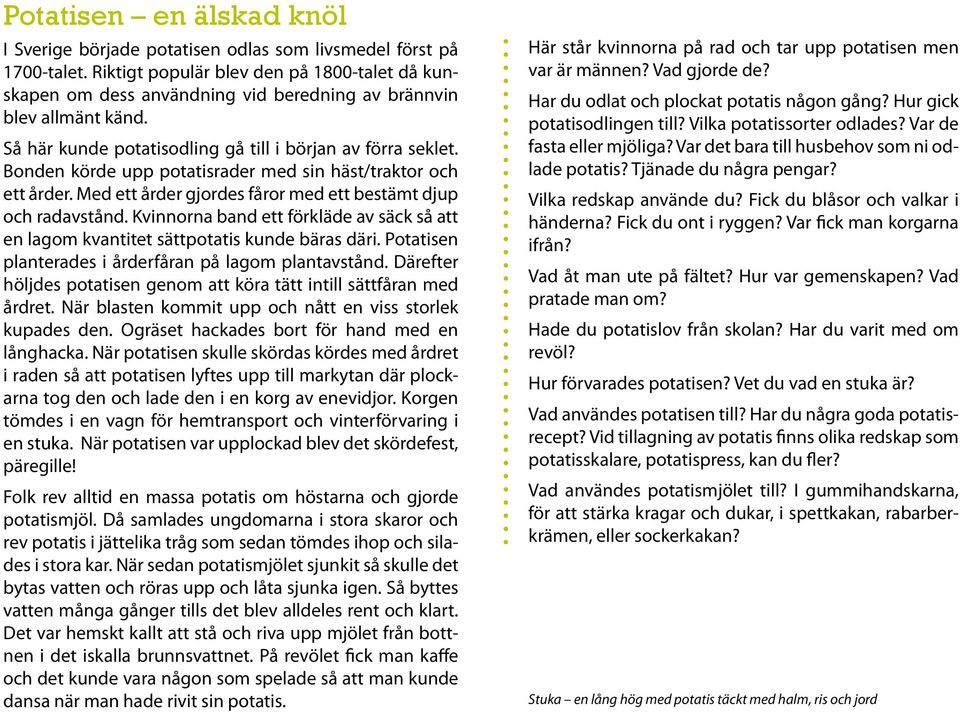 Bonden körde upp potatisrader med sin häst/traktor och ett årder. Med ett årder gjordes fåror med ett bestämt djup och radavstånd.