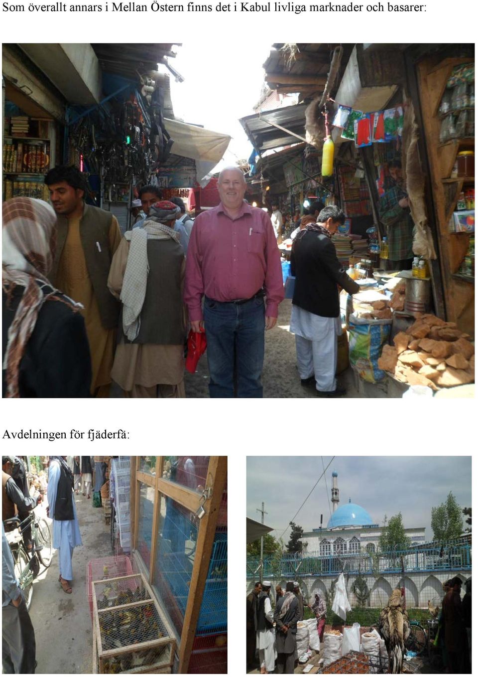 Kabul livliga marknader och