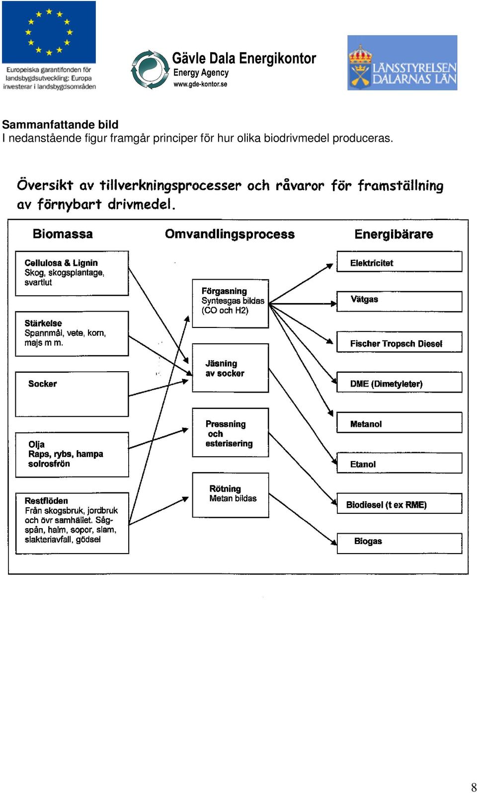 framgår principer för