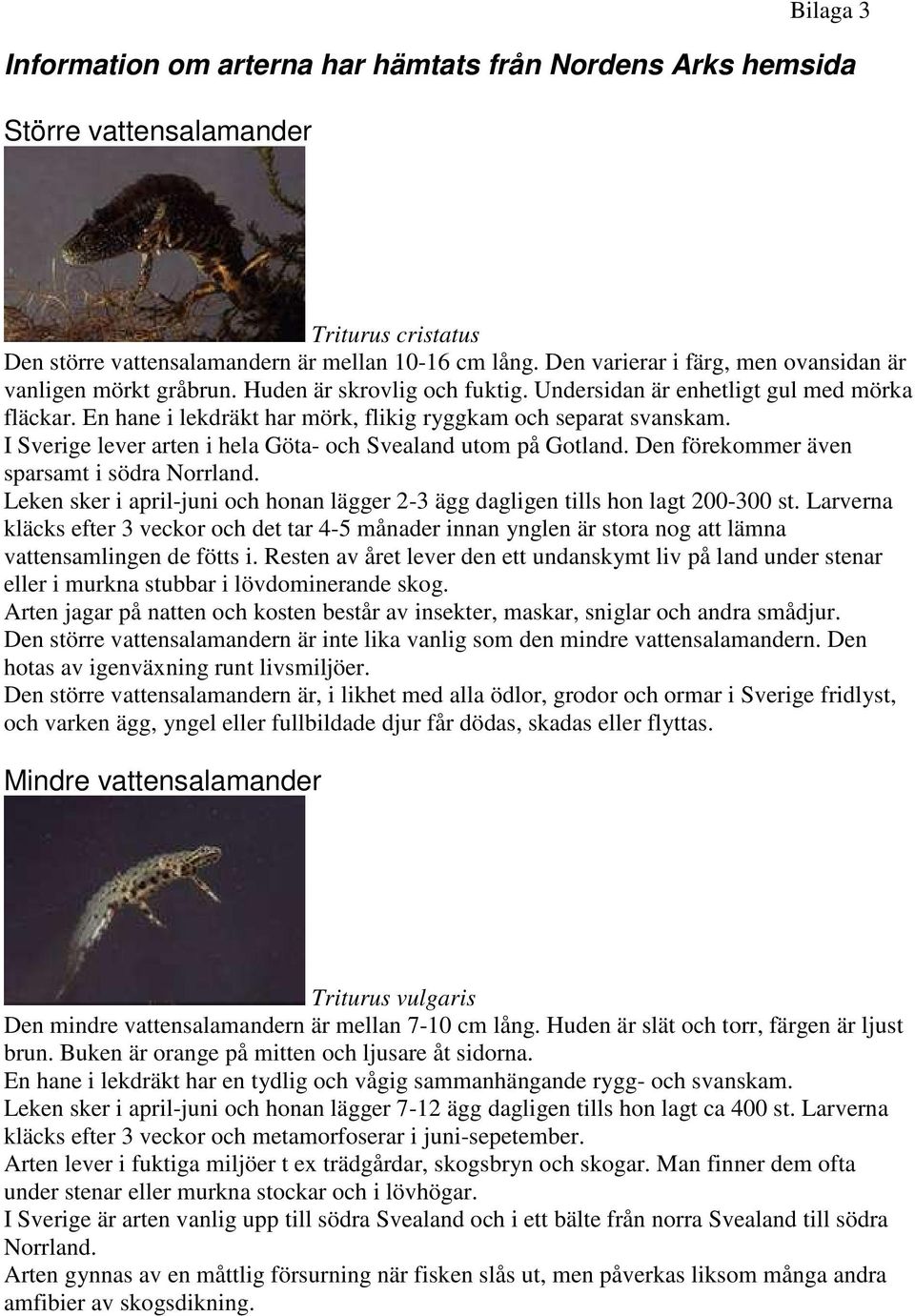 En hane i lekdräkt har mörk, flikig ryggkam och separat svanskam. I Sverige lever arten i hela Göta- och Svealand utom på Gotland. Den förekommer även sparsamt i södra Norrland.