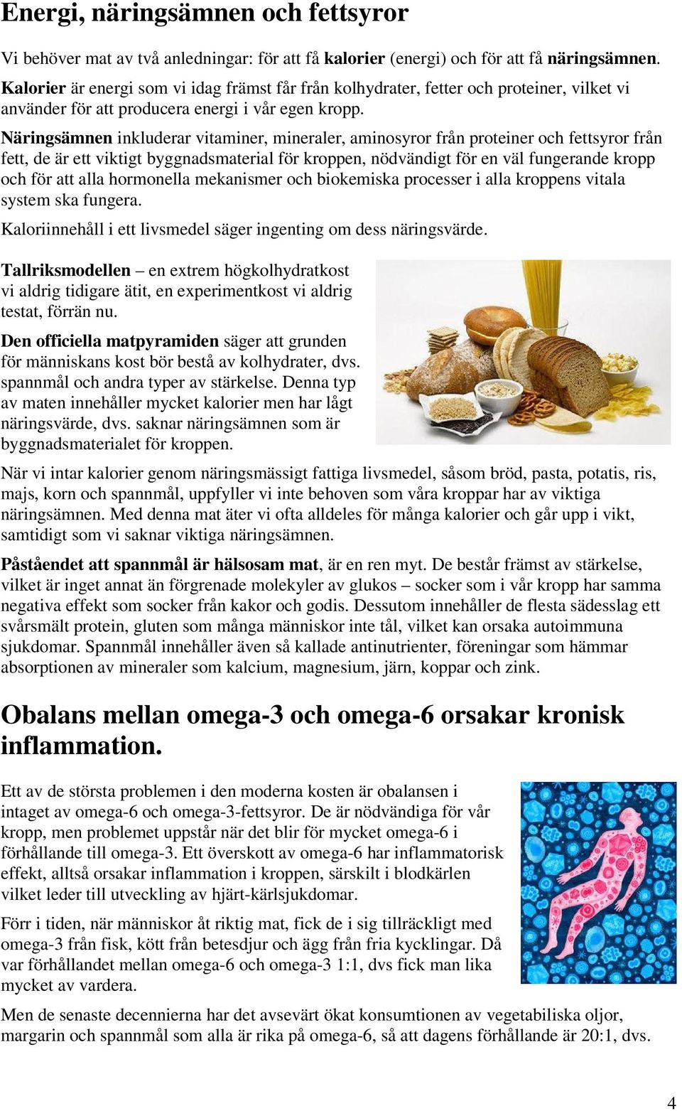 Näringsämnen inkluderar vitaminer, mineraler, aminosyror från proteiner och fettsyror från fett, de är ett viktigt byggnadsmaterial för kroppen, nödvändigt för en väl fungerande kropp och för att