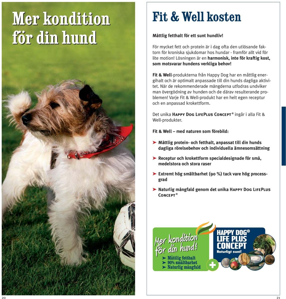 Lösningen är en harmonisk, inte för kraftig kost, som motsvarar hundens verkliga behov!