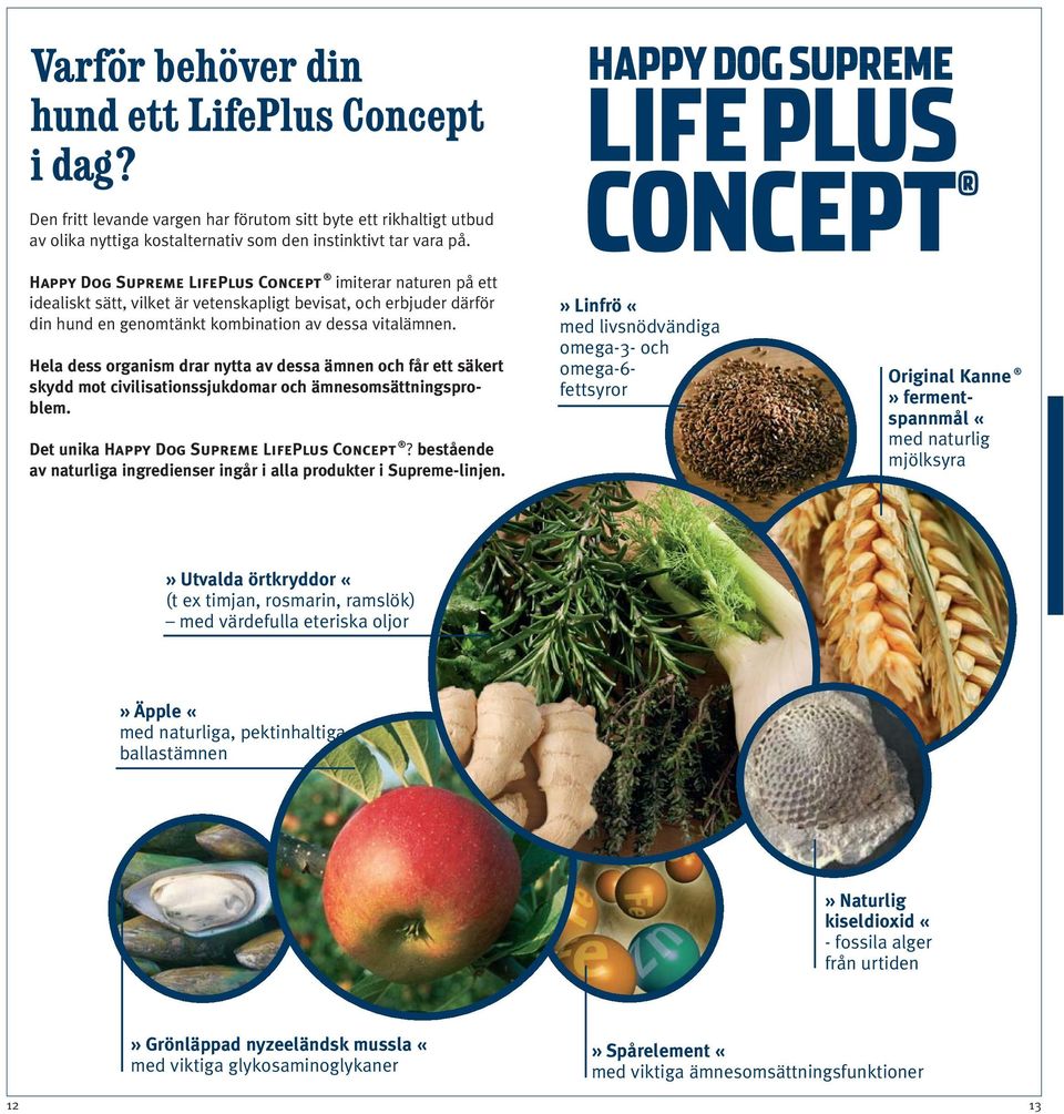 Hela dess organism drar nytta av dessa ämnen och får ett säkert skydd mot civilisationssjukdomar och ämnesomsättningsproblem. Det unika Happy Dog Supreme LifePlus Concept?