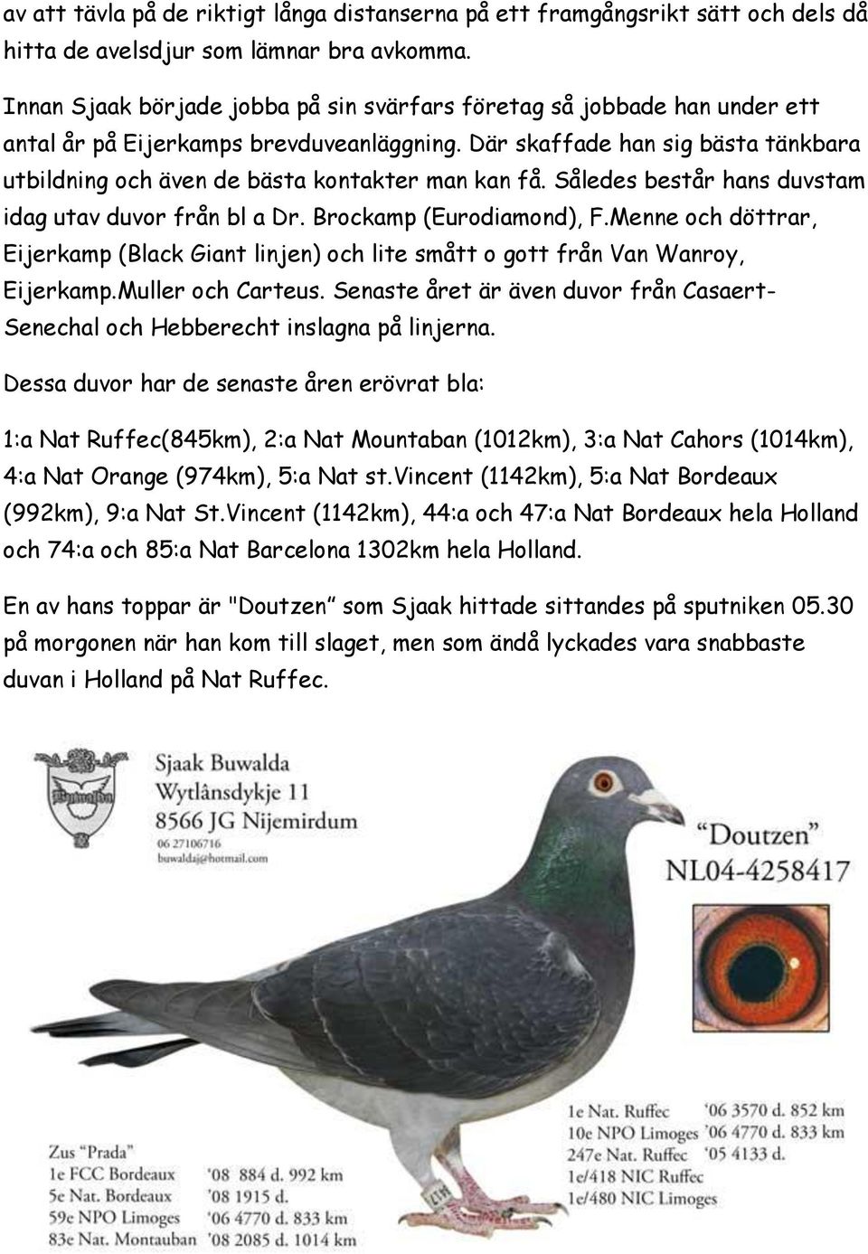 Där skaffade han sig bästa tänkbara utbildning och även de bästa kontakter man kan få. Således består hans duvstam idag utav duvor från bl a Dr. Brockamp (Eurodiamond), F.