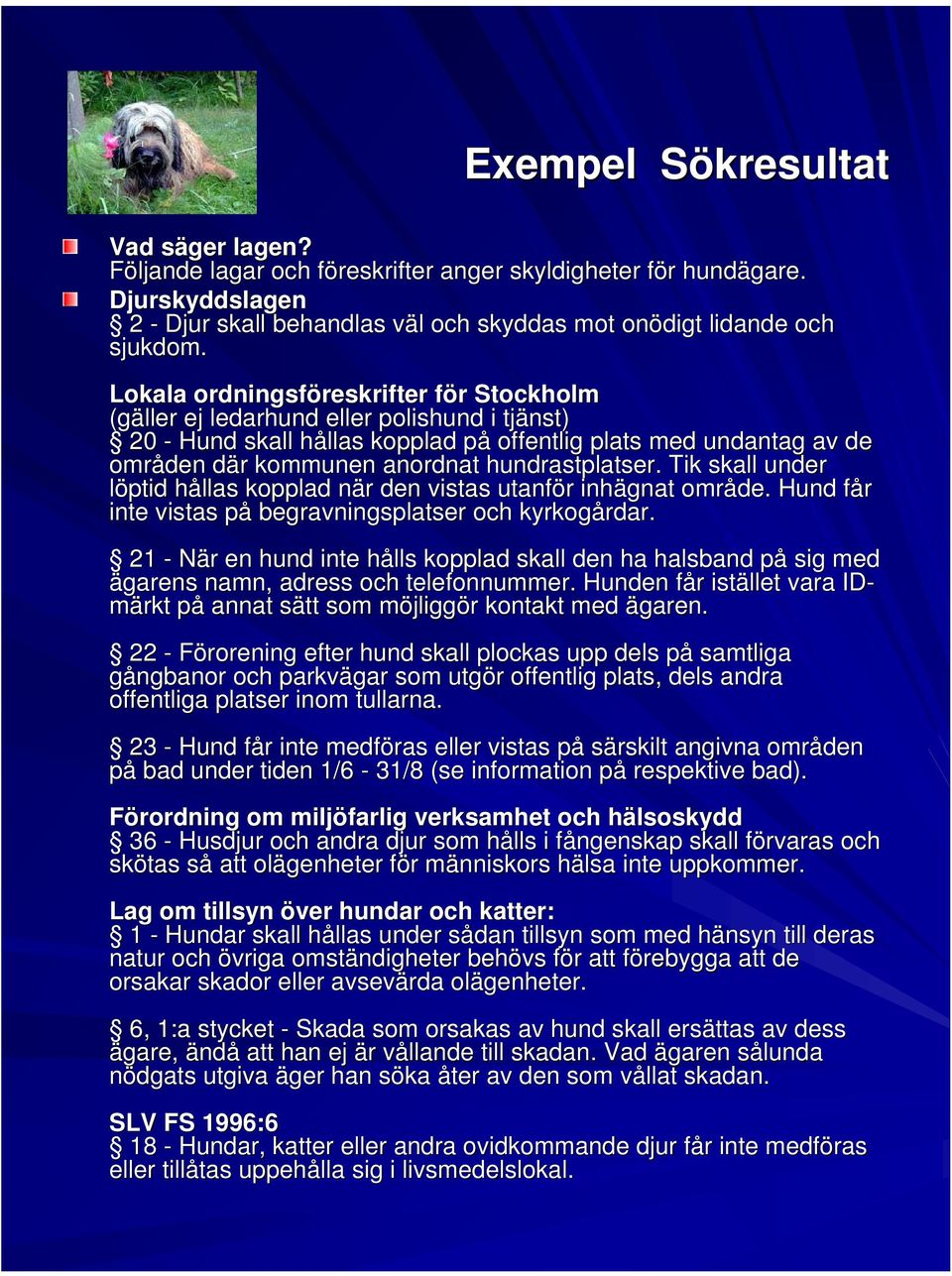 hundrastplatser. Tik skall under löptid hållas kopplad när den vistas utanför inhägnat område. Hund får inte vistas på begravningsplatser och kyrkogårdar.