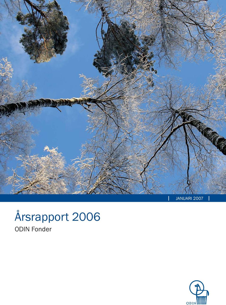 Årsrapport