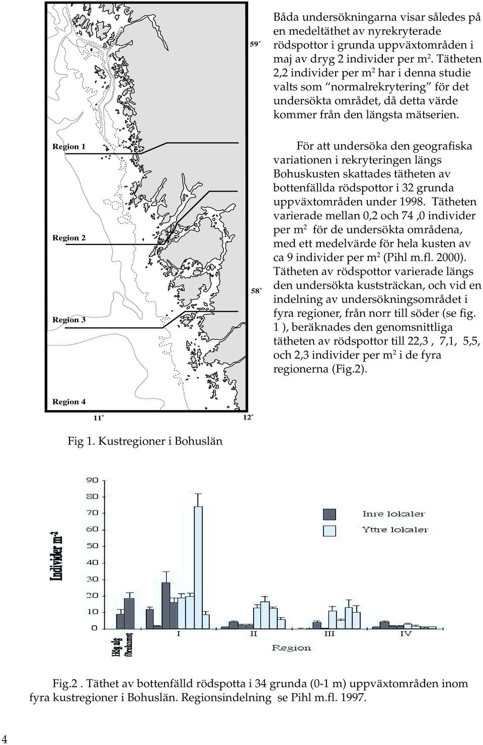 Region 1 Region 2 Region 3 58 För att undersöka den geografiska variationen i rekryteringen längs Bohuskusten skattades tätheten av bottenfällda rödspottor i 32 grunda uppväxtområden under 1998.