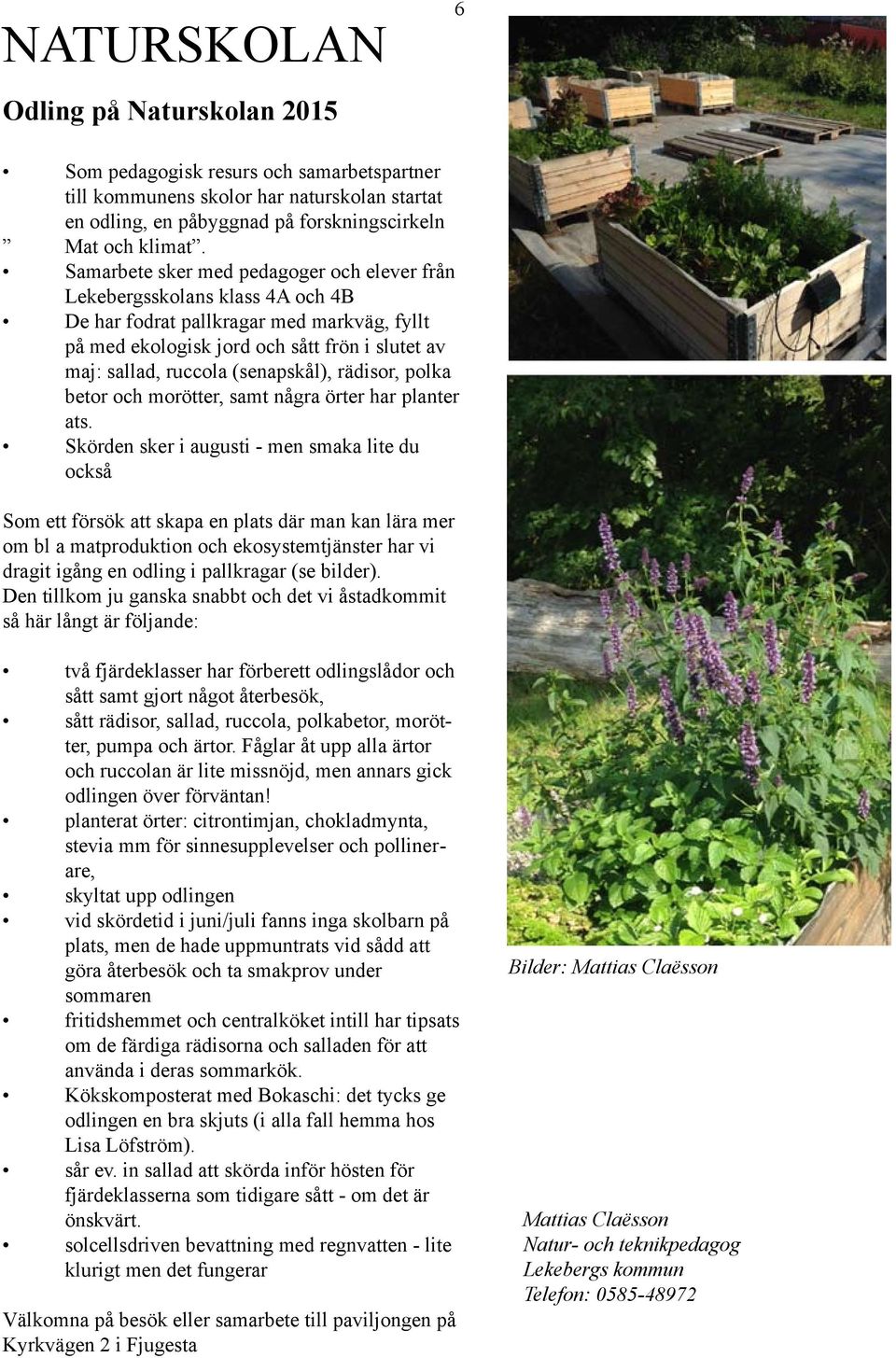 (senapskål), rädisor, polka betor och morötter, samt några örter har planter ats.