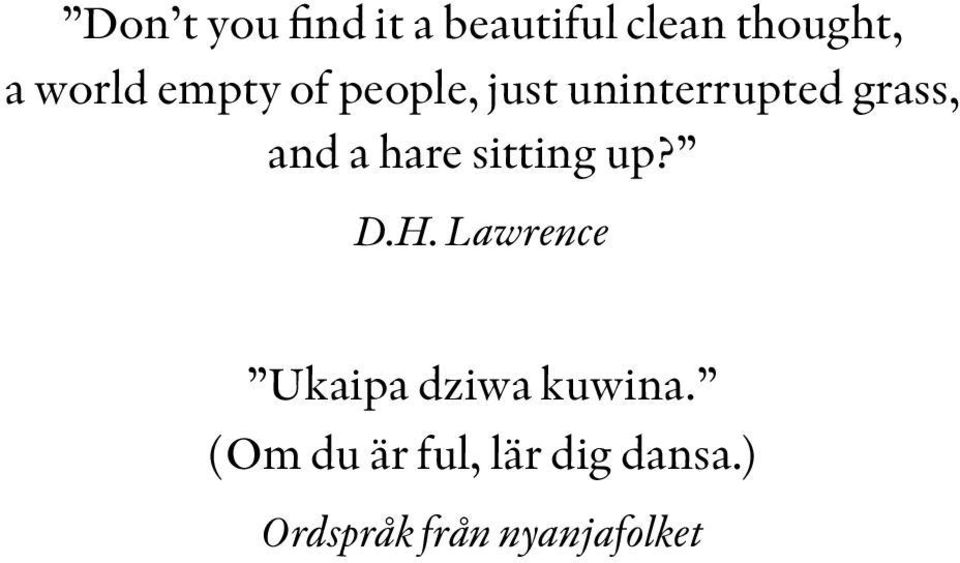 hare sitting up? D.H. Lawrence Ukaipa dziwa kuwina.