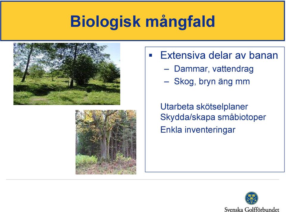 bryn äng mm Utarbeta skötselplaner