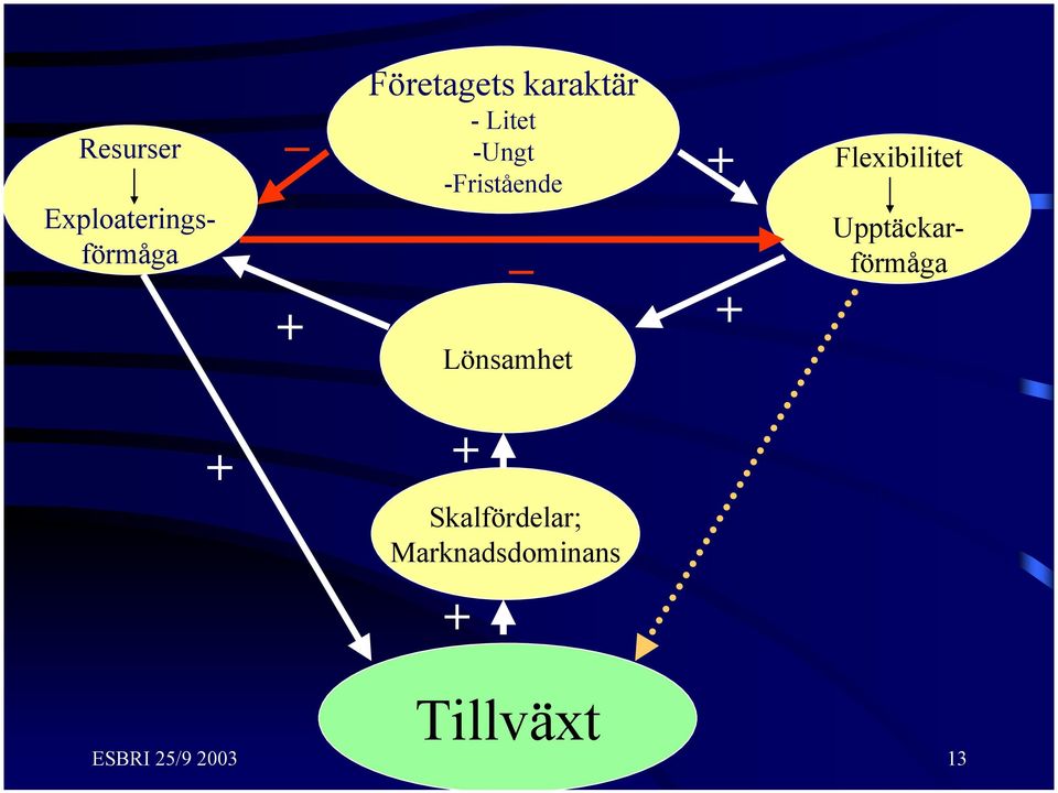 Litet -Ungt -Fristående _ Lönsamhet