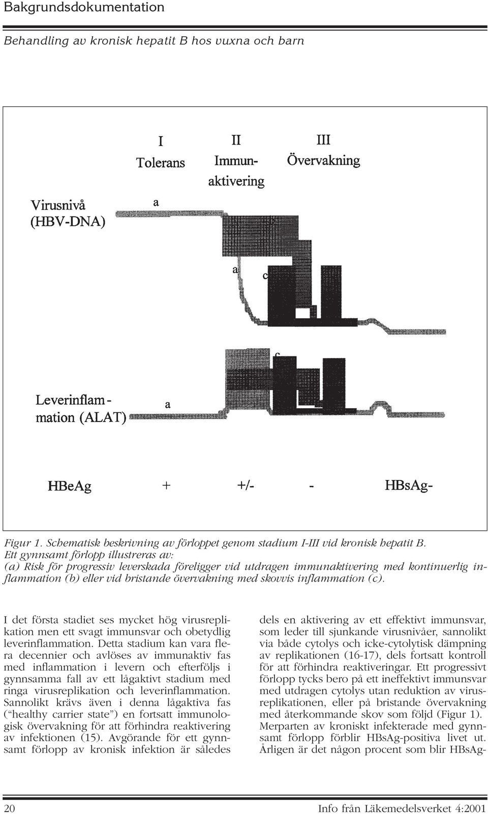 inflammation (c). I det första stadiet ses mycket hög virusreplikation men ett svagt immunsvar och obetydlig leverinflammation.