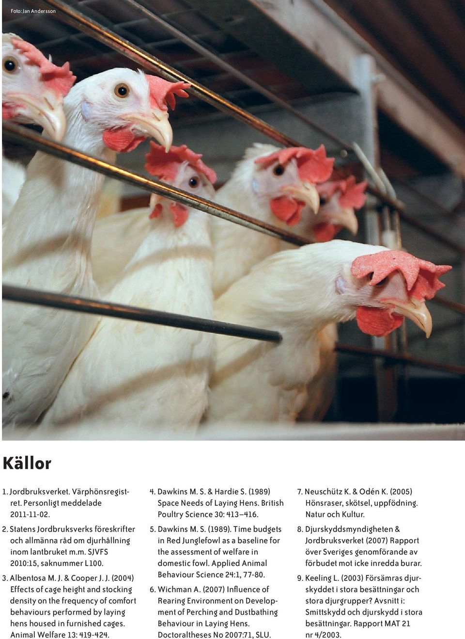 5. Dawkins M. S. (1989). Time budgets in Red Junglefowl as a baseline for the assessment of welfare in domestic fowl. Applied Animal Behaviour Science 24:1, 77-80. 8.