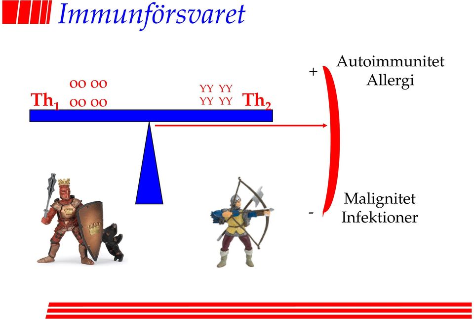 + Autoimmunitet Allergi