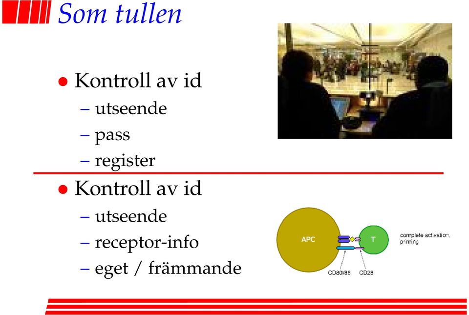 Kontroll av id utseende