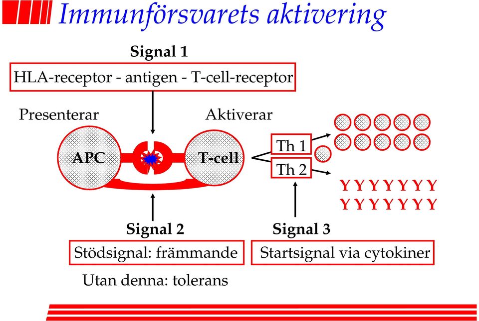 2 Stödsignal: främmande Th 1 Th 2 Signal 3 Y Y Y Y Y Y Y Y