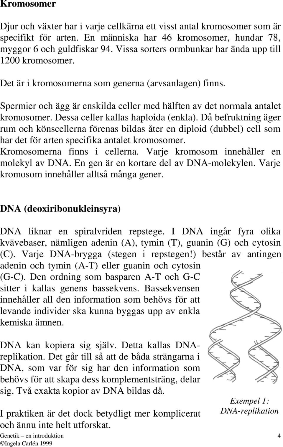 Dess celler klls hploid (enkl). Då befruktning äger rum och könscellern förens bilds åter en diploid (dubbel) cell som hr det för rten specifik ntlet kromosomer. Kromosomern finns i cellern.