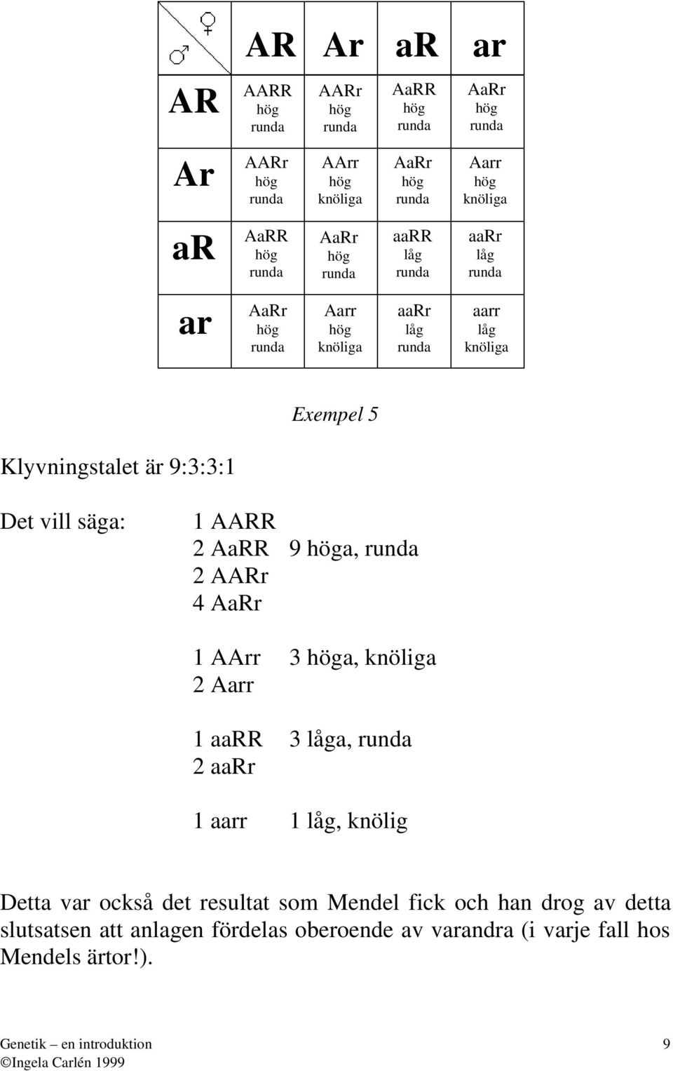 knölig 2 rr 1 RR 3 låg, 2 Rr 1 rr 1 låg, knölig Dett vr också det resultt som Mendel fick och