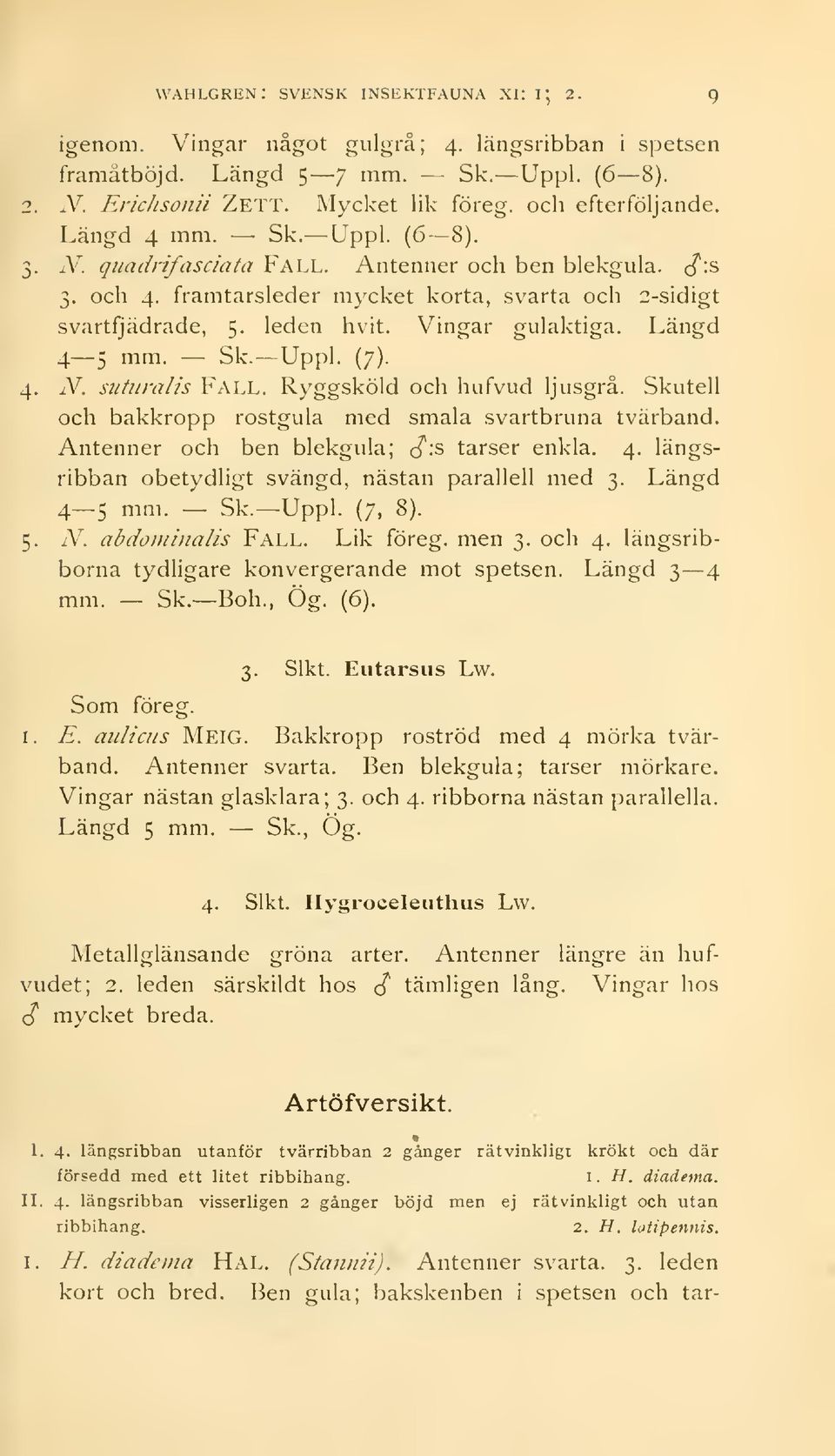 Längd 4 5 mm. Sk. Uppl. (7). 4. N. suturalis Fall. Ryggsköld och hufvud ljusgrå. Skutell och bakkropp rostgula med smala svartbruna tvärband. Antenner och ben blekgula; J'ls tarser enkla. 4. längsribban obetydligt svängd, nästan parallell med 3.