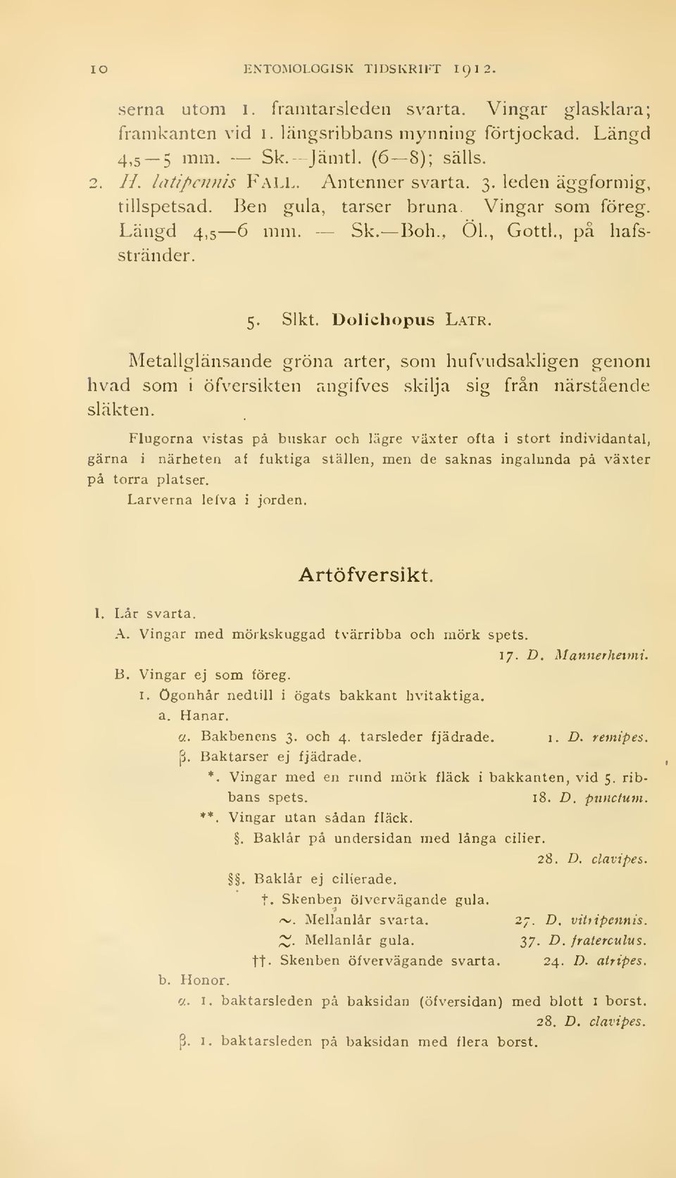 Metallglänsande gröna arter, som hufvudsakligen genom hvad som i öfversikten angifves skilja sig från närstående släkten.