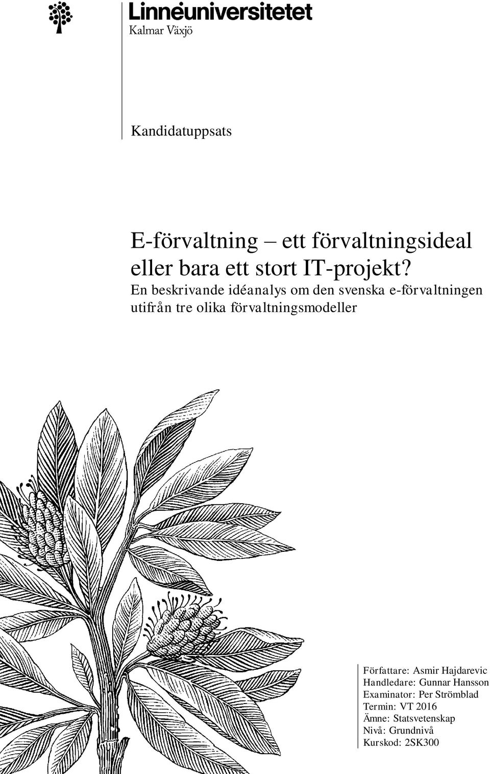 En beskrivande idéanalys om den svenska e-förvaltningen utifrån tre olika