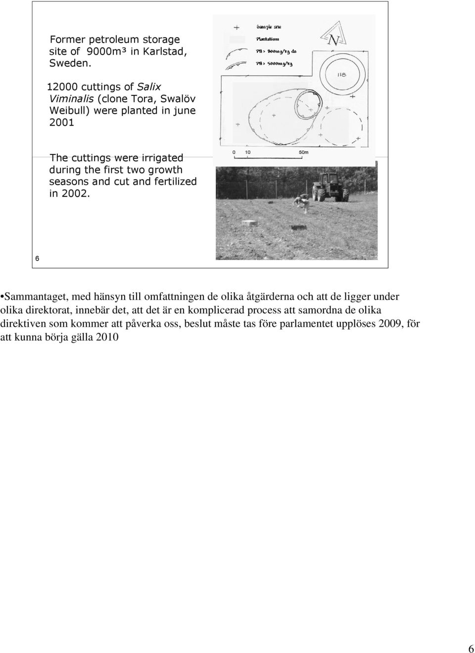 two growth seasons and cut and fertilized in 2002.