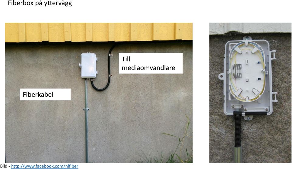 Fiberkabel Bild -