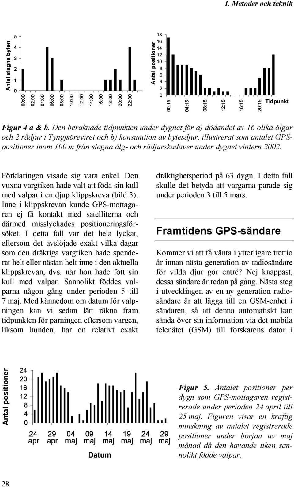 och rådjurskadaver under dygnet vintern 22. Förklaringen visade sig vara enkel. Den vuxna vargtiken hade valt att föda sin kull med valpar i en djup klippskreva (bild 3).