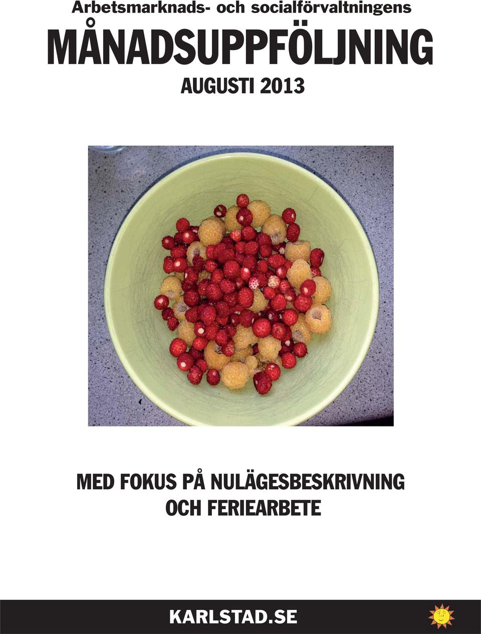 MÅNADSUPPFÖLJNING AUGUSTI 213