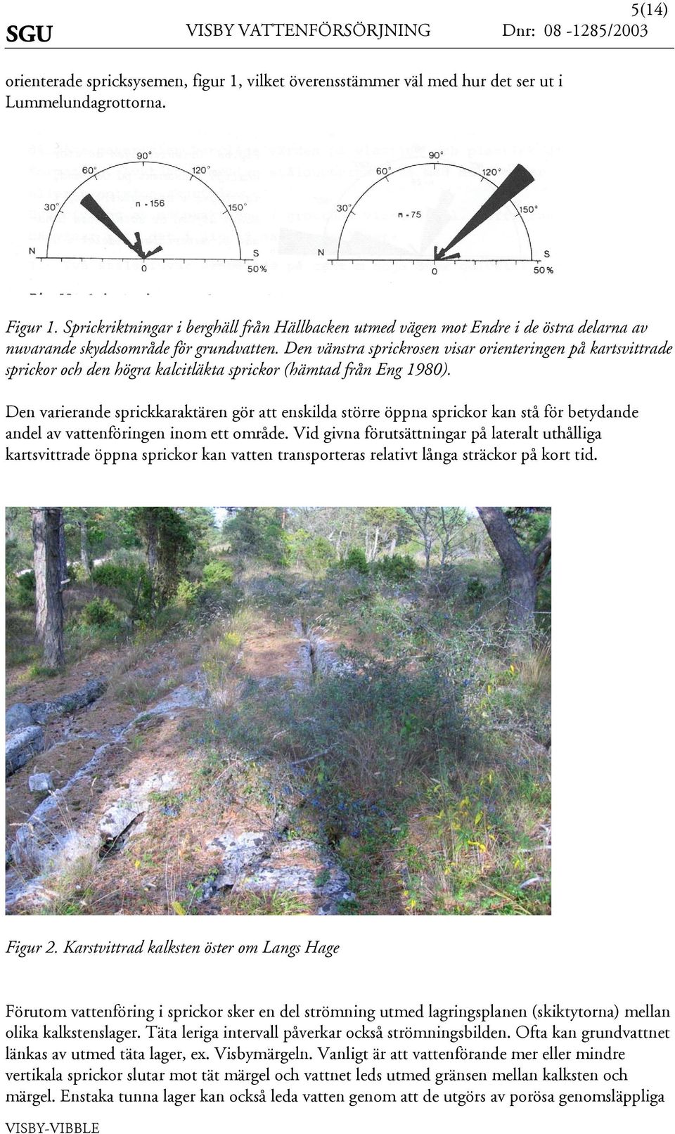 Den väntra prickroen viar orienteringen på kartvittrade prickor och den högra kalcitläkta prickor (hämtad från Eng 1980).